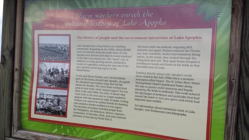 Information board describing the history of farm workers and cultural heritage at Lake Apopka, featuring text about agricultural practices, environmental interaction, and historical context. The board includes images of farm workers in the field, highlighting the labor involved in farming and the community's cultural significance. Lake Apopka Restoration Area mountain bike trail.