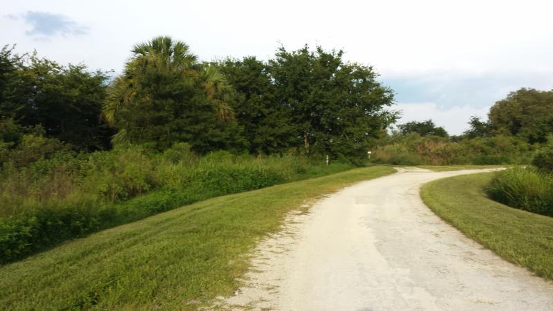 A winding gravel path bordered by lush greenery, including trees and tall grass, leads through a natural landscape under a partly cloudy sky. Lake Apopka Restoration Area mountain bike trail.