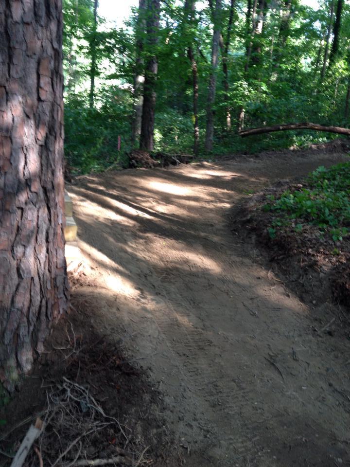 A dirt path winding through a lush green forest, flanked by tall trees and dappled sunlight filtering through the leaves. Dupree Park mountain bike trail.