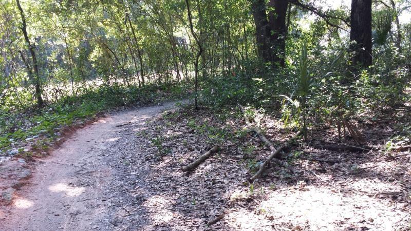 A winding dirt path through a wooded area, surrounded by lush greenery and scattered leaves. Sunlight filters through the trees, creating dappled light on the ground. Mount Dora Trail mountain bike trail.