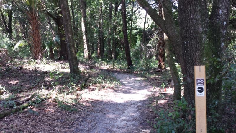 A dirt path winding through a lush, wooded area, surrounded by tall trees and greenery. A wooden sign on the right indicates the trail is suitable for biking. Sunlight filters through the leaves, creating a serene outdoor atmosphere. Mount Dora Trail mountain bike trail.