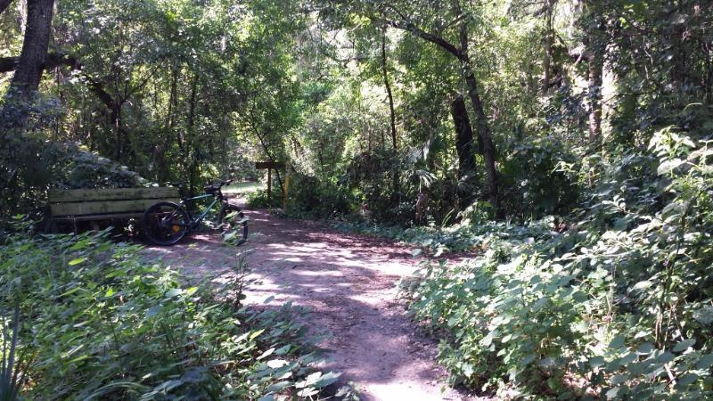 A dirt path winding through a lush green forest, flanked by dense foliage. On the left side, there is a bicycle resting against an old wooden cart. Sunlight filters through the trees, creating dappled patterns on the ground. Mount Dora Trail mountain bike trail.