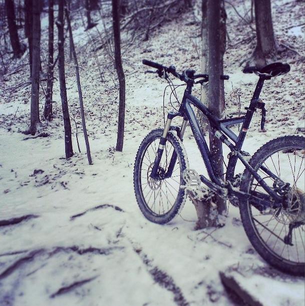 A mountain bike leaning against a tree in a snowy forest setting, surrounded by fallen leaves and bare trees. The ground is covered with a layer of snow, creating a serene winter landscape. Etobicoke Creek mountain bike trail.