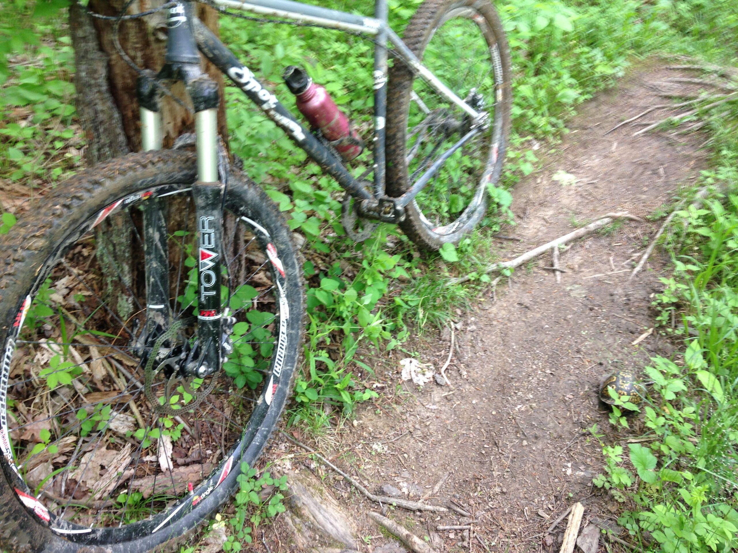 SPOT Honey Badger Singlespeed: A close-up view of a mountain bike resting against a tree on a dirt trail, surrounded by lush green foliage. A water bottle is mounted on the bike frame, and a turtle is seen on the ground near the trail. The scene captures the essence of outdoor adventure and nature.