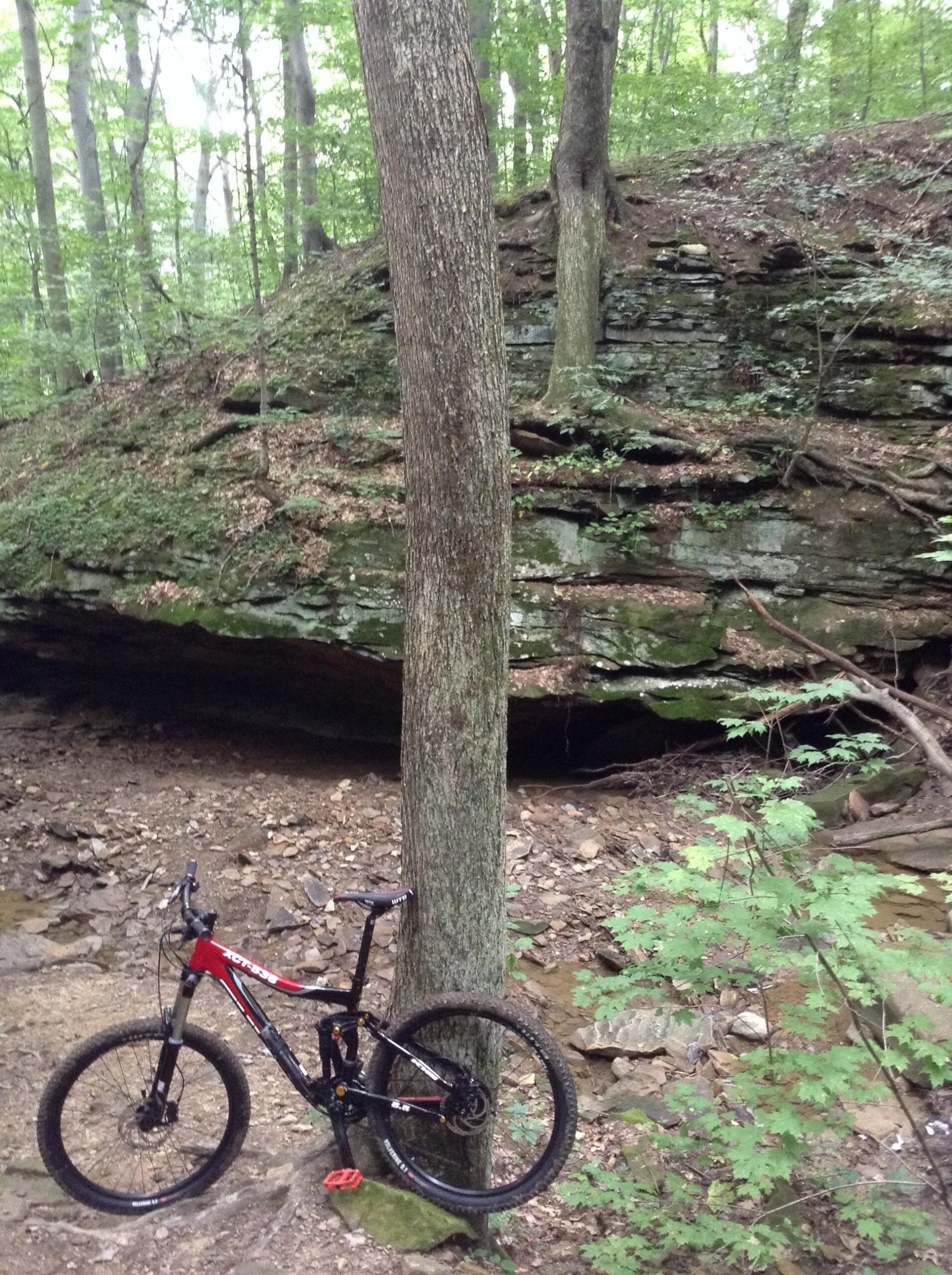 A mountain bike leaning against a tree in a wooded area with rocky terrain and a sloped cliff in the background. Green foliage surrounds the scene, indicating a natural outdoor setting. West Branch mountain bike trail.