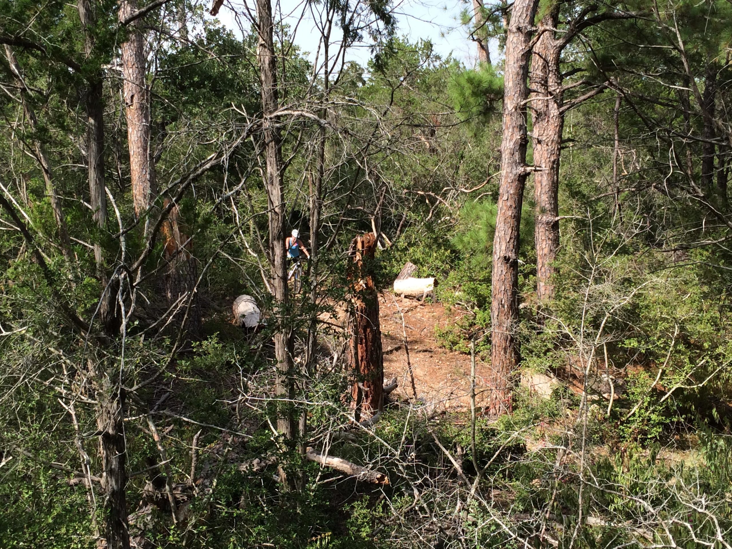 A person in a blue tank top stands among trees in a forested area, with logs and branches scattered on the ground. The scene captures the dense greenery and atmosphere of a natural woodland environment. Bluff Creek Ranch mountain bike trail.
