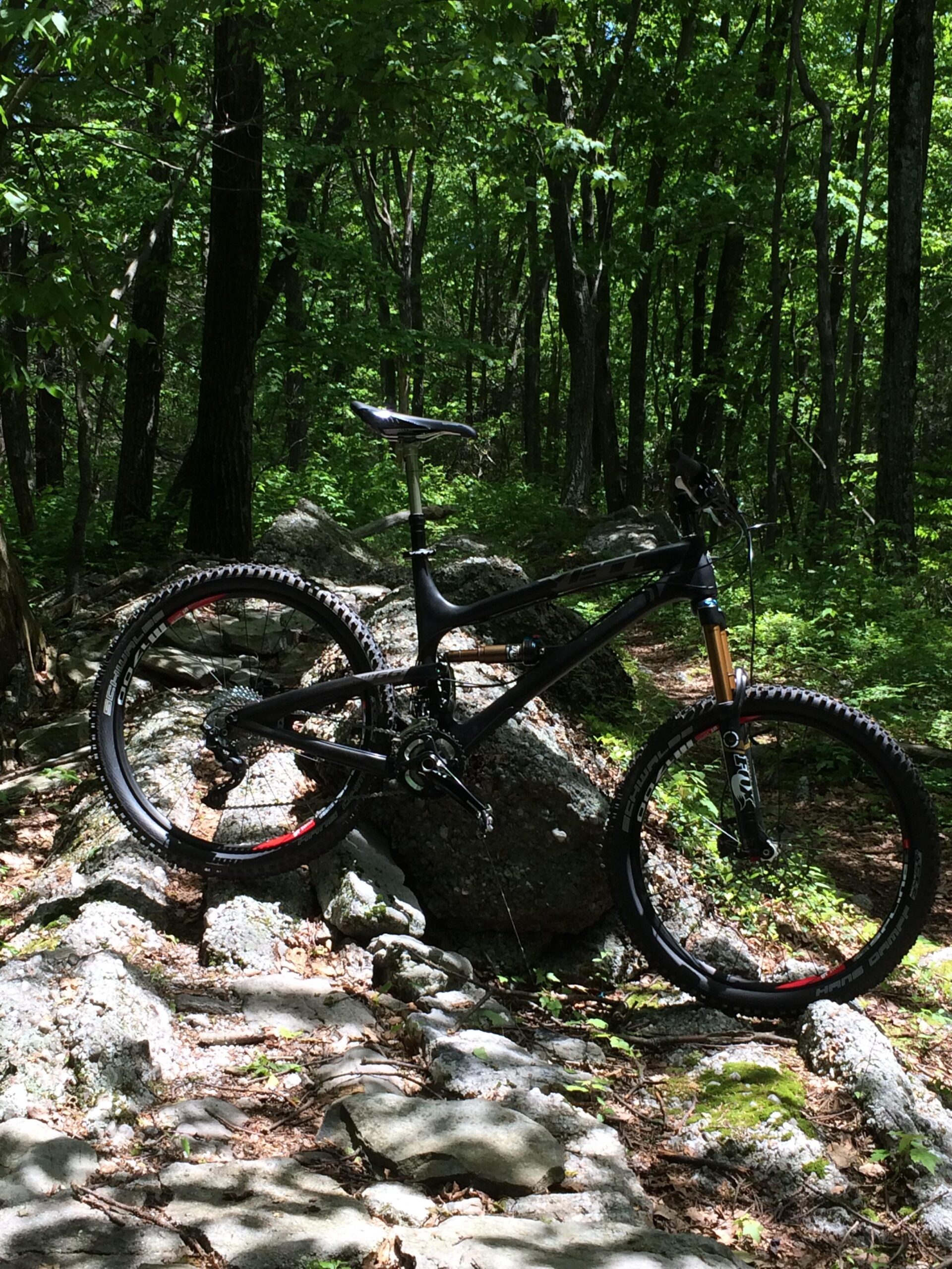 Yeti SB66c: A black mountain bike resting against a large rock, surrounded by dense green foliage in a forested area. Sunlight filters through the trees, casting dappled light on the scene.