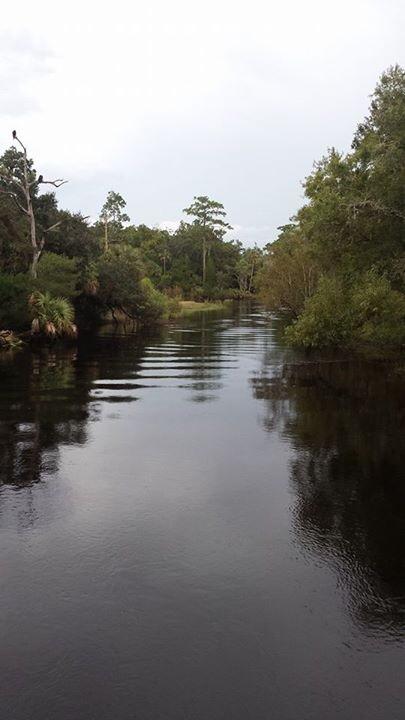 A tranquil river scene surrounded by lush greenery, with calm waters reflecting the trees and cloudy sky above. Little Big Econ State Forest mountain bike trail.