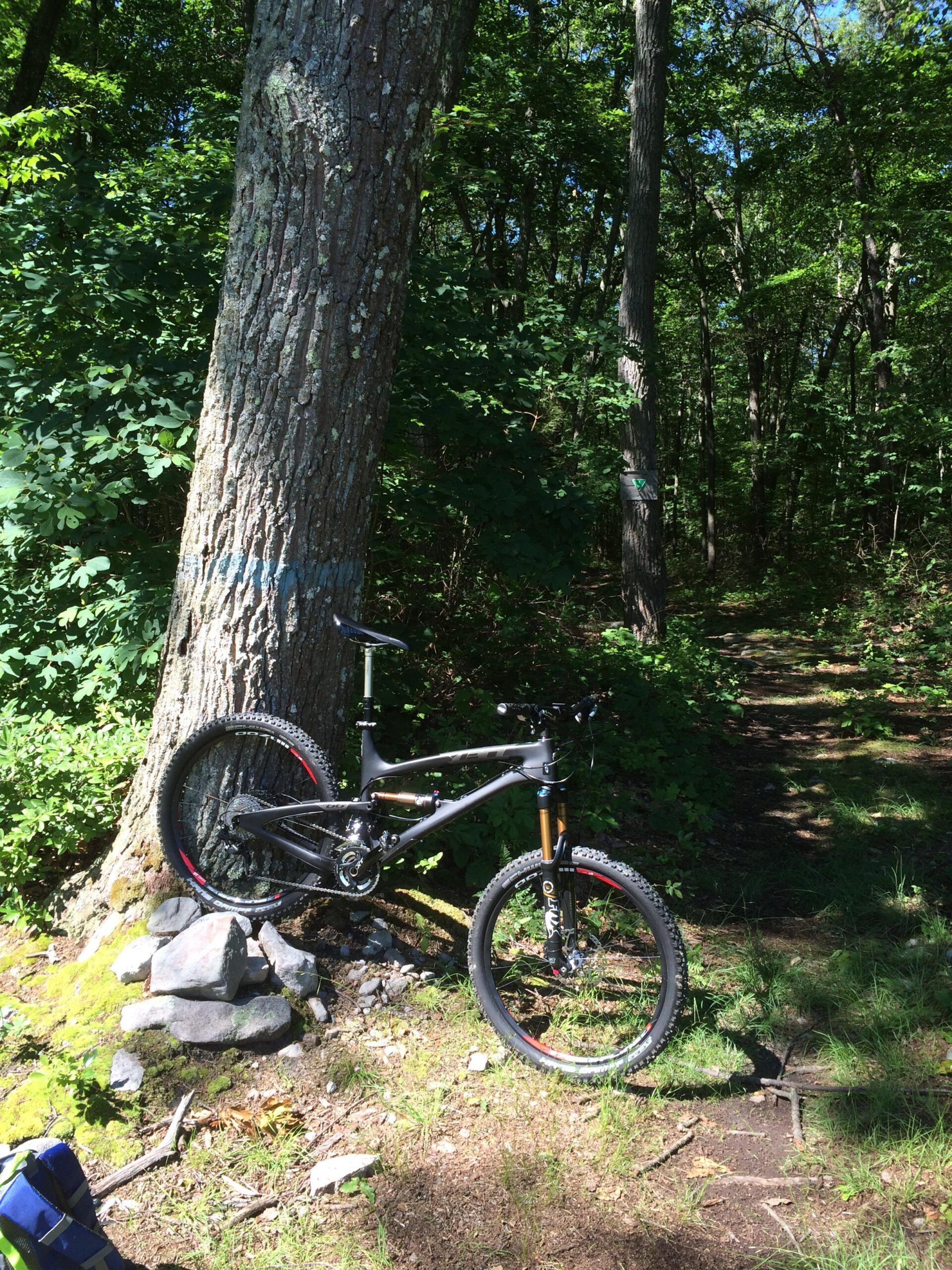 Yeti SB66c: A mountain bike leaning against a tree, surrounded by greenery in a forested area. The bike features black and red accents and is positioned near a pile of rocks on the ground. A faint dirt path can be seen leading away into the woods.