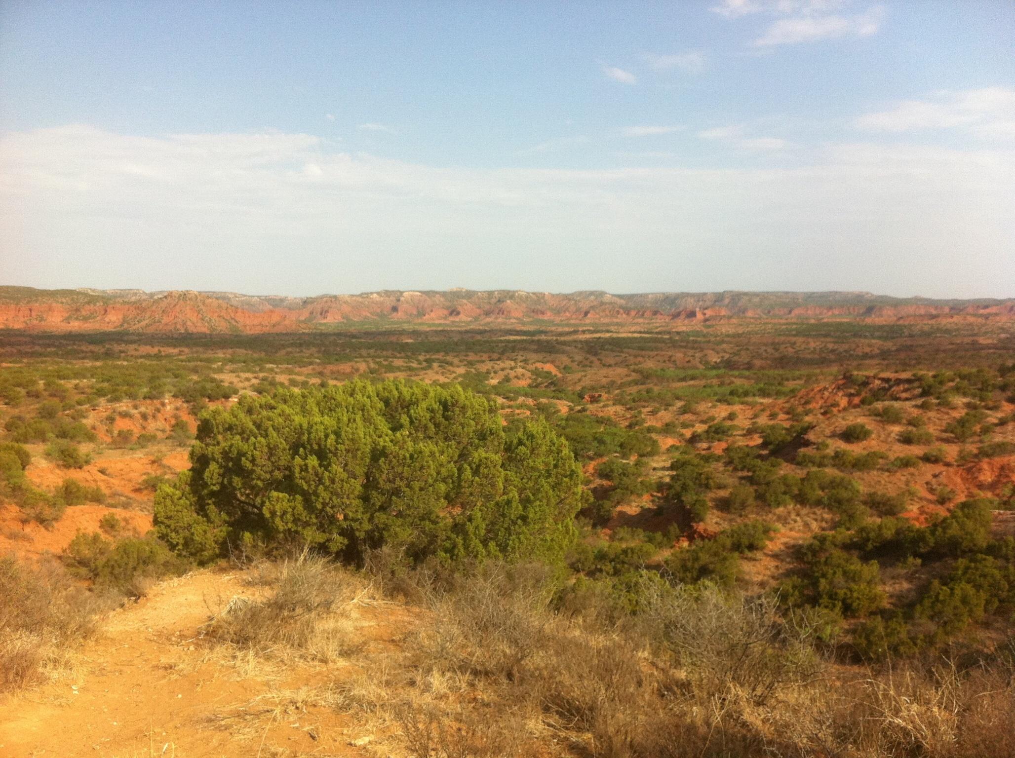 A panoramic view of a rugged landscape featuring rolling hills and mesas in shades of red and green. A large, green bush is in the foreground, surrounded by sparse vegetation and rocky terrain, under a blue sky with a few clouds. Palo Duro Canyon mountain bike trail.