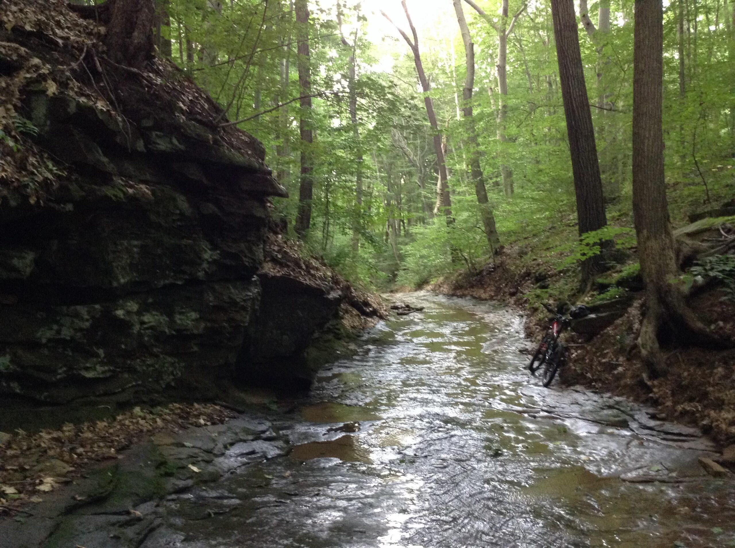 A serene forest scene featuring a shallow creek winding through greenery, flanked by rocky outcrops and tall trees. A bicycle rests on the bank of the creek, adding a touch of human presence to the natural landscape. West Branch mountain bike trail.