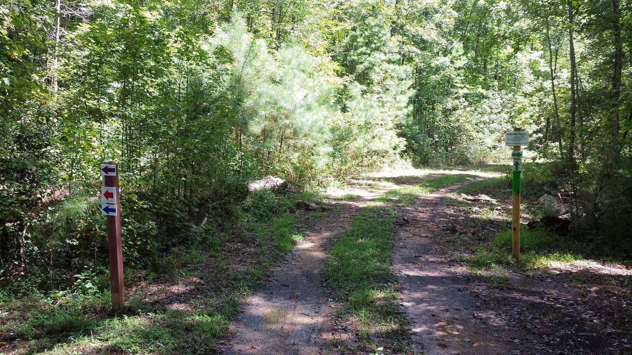 A sunlit forest path diverging in two directions, surrounded by lush greenery. Trail markers indicate left and right turns, while a sign post labeled 'Green Trail' stands nearby. The ground is partially muddy, suggesting recent rain, and the scene evokes a tranquil outdoor setting ideal for hiking or exploring nature. Hard Labor Creek State Park mountain bike trail.