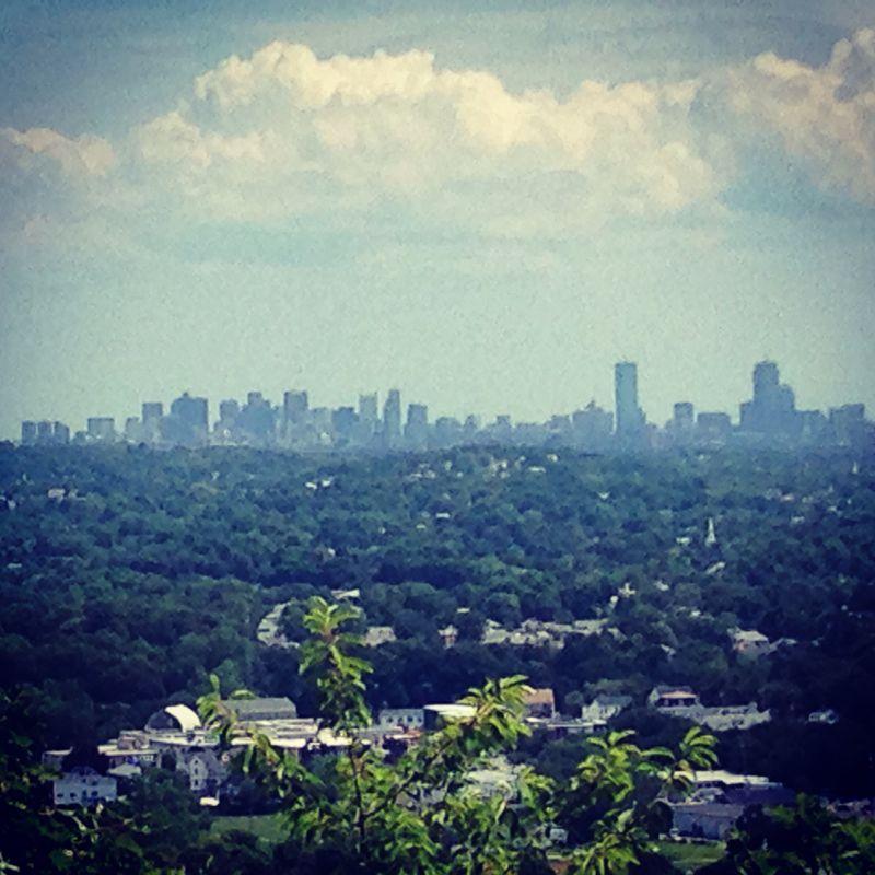 Prospect Hill Mountain Bike Trail in Waltham, Massachusetts