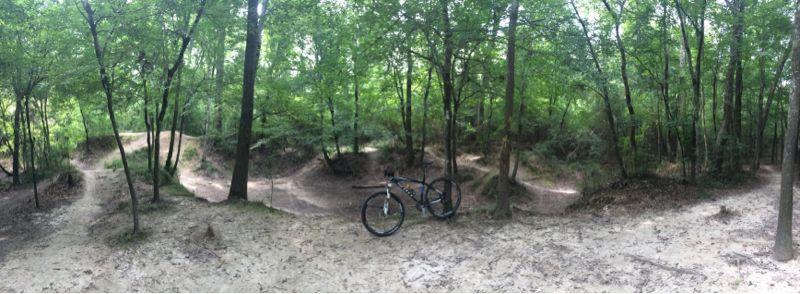 A panoramic view of a wooded trail featuring sandy paths and bike tracks, with a mountain bike positioned in the foreground. The scene is surrounded by tall trees and lush green foliage. Comite Trails mountain bike trail.