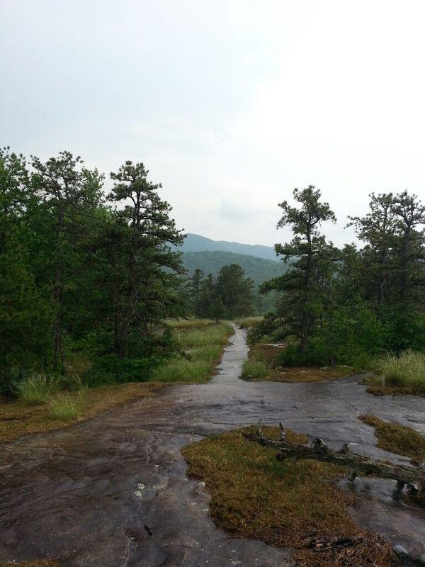 A winding path through a lush, green landscape features rocky terrain and scattered trees, leading toward distant mountains under a cloudy sky. DuPont State Forest mountain bike trail.