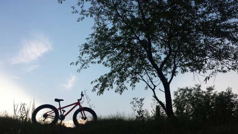 A silhouette of a red bicycle resting on a grassy hill, with a tree in the foreground against a backdrop of a blue sky and wispy clouds. Raceway Woods mountain bike trail.