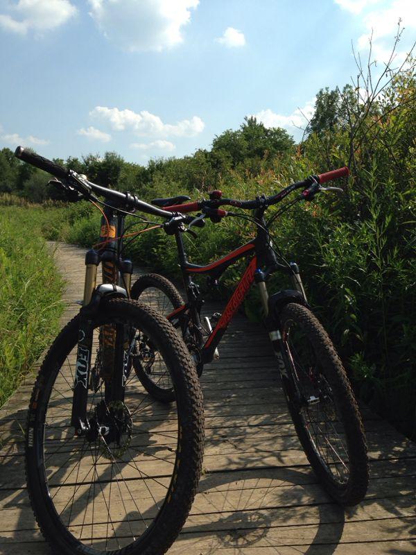Two mountain bikes positioned on a wooden pathway surrounded by lush green vegetation under a bright blue sky. The scene captures a peaceful outdoor setting ideal for cycling adventures. Wildwood Conservation Area mountain bike trail.