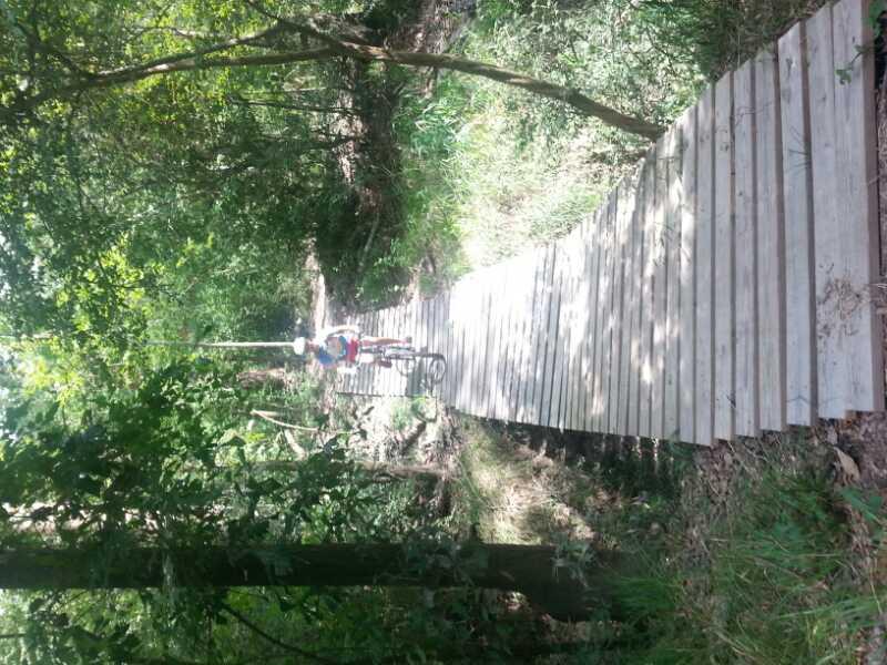 A person riding a bicycle along a wooden boardwalk path through a lush green forest, surrounded by trees and undergrowth. The path curves gently ahead, showcasing the natural setting. Cypresswood Trails mountain bike trail.