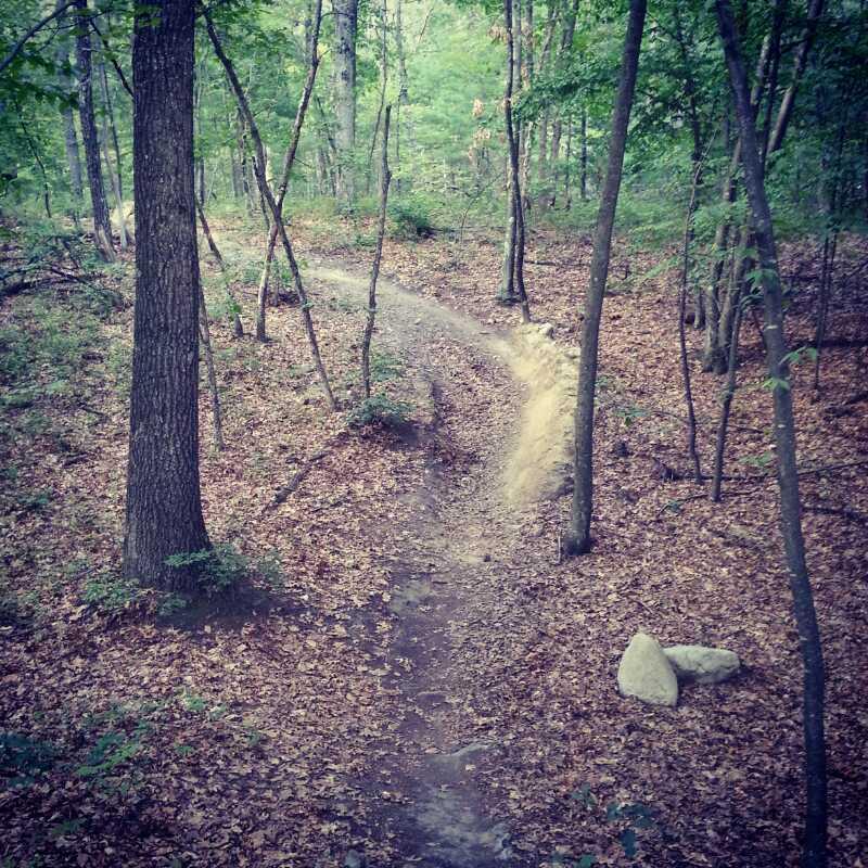 "Winding dirt trail through a wooded area, surrounded by green trees and autumn leaves on the ground. Two large stones are visible near the path." Lowell-Dracut-Tyngsborough State Forest mountain bike trail.