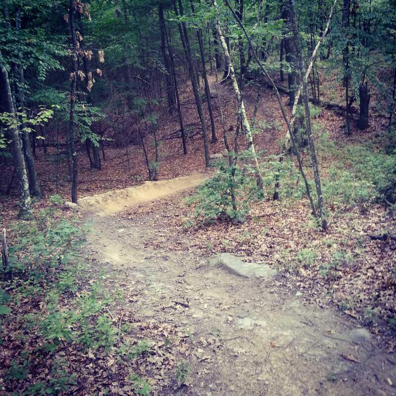 A dirt trail winding through a dense forest, surrounded by trees and fallen leaves. The path is slightly uneven with visible rocks and a sandy section, suggesting a natural, rugged landscape. Lowell-Dracut-Tyngsborough State Forest mountain bike trail.