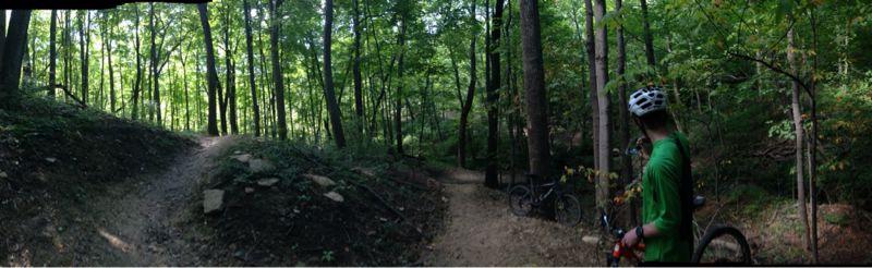 A panoramic view of a lush green forest with a dirt bike trail. A person in a green shirt and helmet stands near the trails, which fork in two directions. Mountain bikes are parked nearby, surrounded by trees and dense foliage, showcasing a peaceful outdoor environment ideal for biking enthusiasts. Devou Park mountain bike trail.