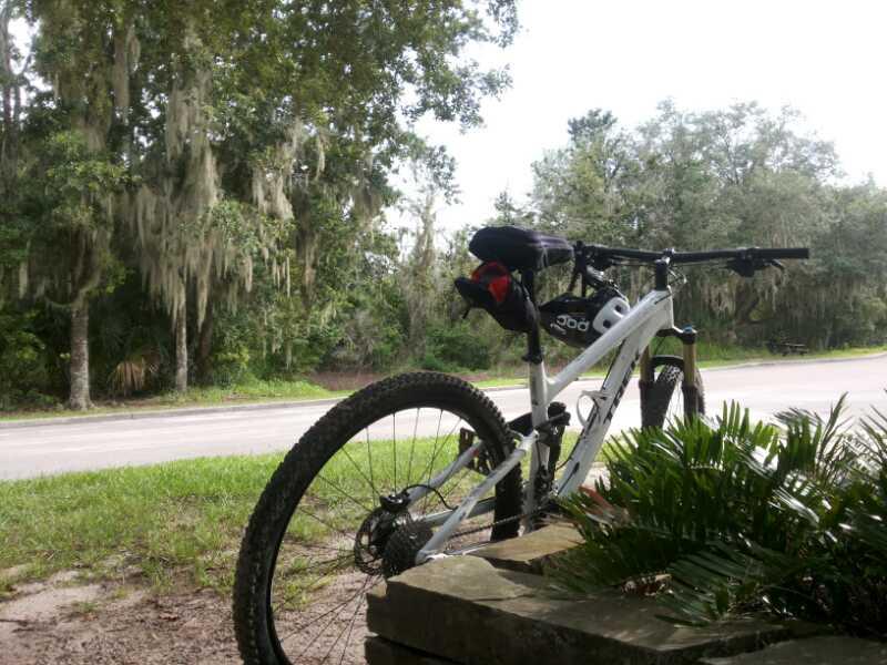 A white mountain bike resting on a stone ledge, surrounded by lush green grass and palm plants. In the background, a quiet road is lined with trees draped in Spanish moss, under a cloudy sky. Alafia River State Park mountain bike trail.