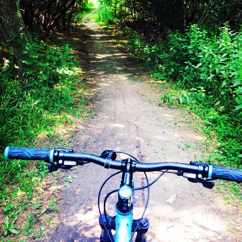 A view from the handlebars of a mountain bike on a dirt trail, surrounded by lush greenery and trees, with sunlight filtering through the leaves ahead. Bison Plant mountain bike trail.