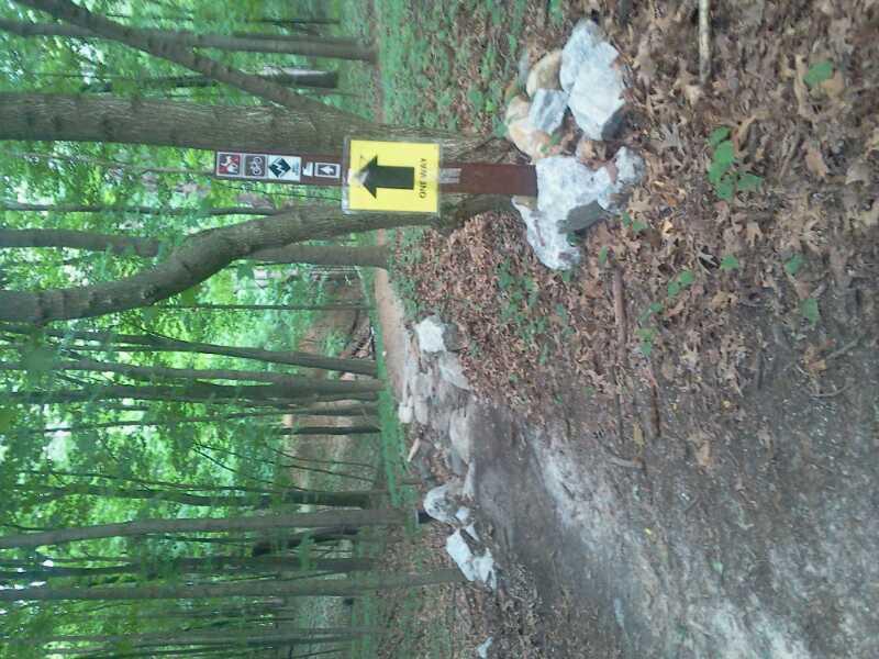 A pathway in a lush green forest with a yellow directional sign pointing left, indicating a trail. The ground is covered in fallen leaves and there are rocks along the side of the path. Trail markers for cyclists and hikers are visible on the sign. Farmdale Reservoir Recreation Area mountain bike trail.