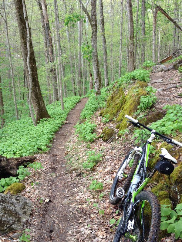 A mountain bike leaning against a mossy rock on a narrow dirt trail surrounded by green foliage and trees in a forested area. Warriors' Path State Park mountain bike trail.