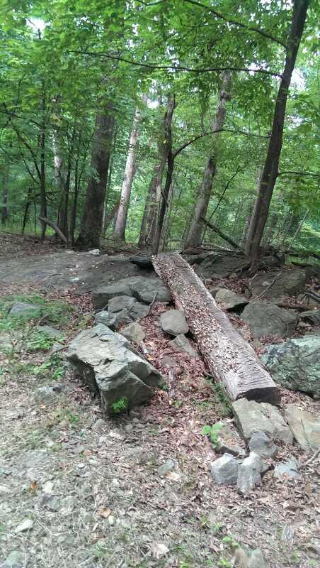 A wooded area featuring a log bridge extending over a rocky terrain, surrounded by lush green trees and fallen leaves on the ground. Emmitsburg Watershed mountain bike trail.