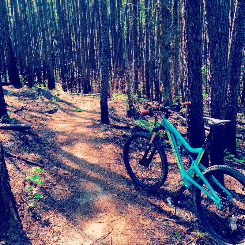 A mountain bike parked on a forest trail surrounded by tall pine trees and dappled sunlight filtering through the branches. The path winds through the woods, showcasing a natural, earthy landscape. Forks Area Trail System (FATS) mountain bike trail.