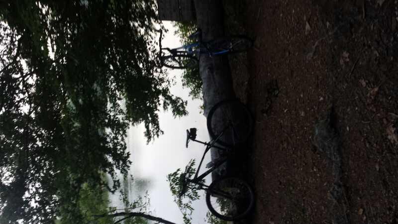 Two bicycles are leaning against a fallen log in a wooded area near a calm body of water, surrounded by greenery and trees. The scene conveys a peaceful, outdoor atmosphere, perfect for biking or exploring nature. Black Hill Regional Park mountain bike trail.