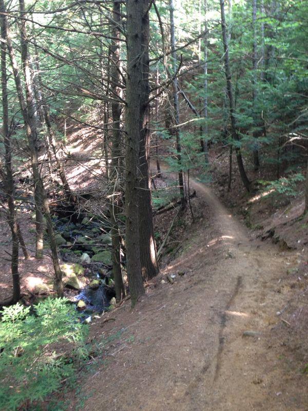 A winding dirt path through a densely wooded area, flanked by tall trees and underbrush. A small stream is visible on the left side of the path, with smooth, moss-covered stones along its edge. The sunlight filters through the leaves, creating a serene and tranquil atmosphere. Bear Brook mountain bike trail.
