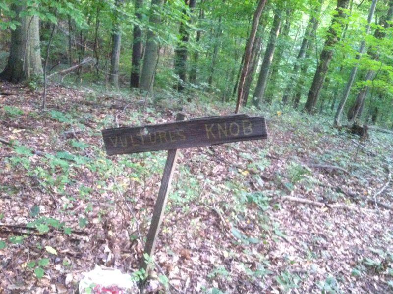 Wooden signpost indicating "Vultures Knob" in a forested area, surrounded by greenery and fallen leaves. Vultures Knob mountain bike trail.