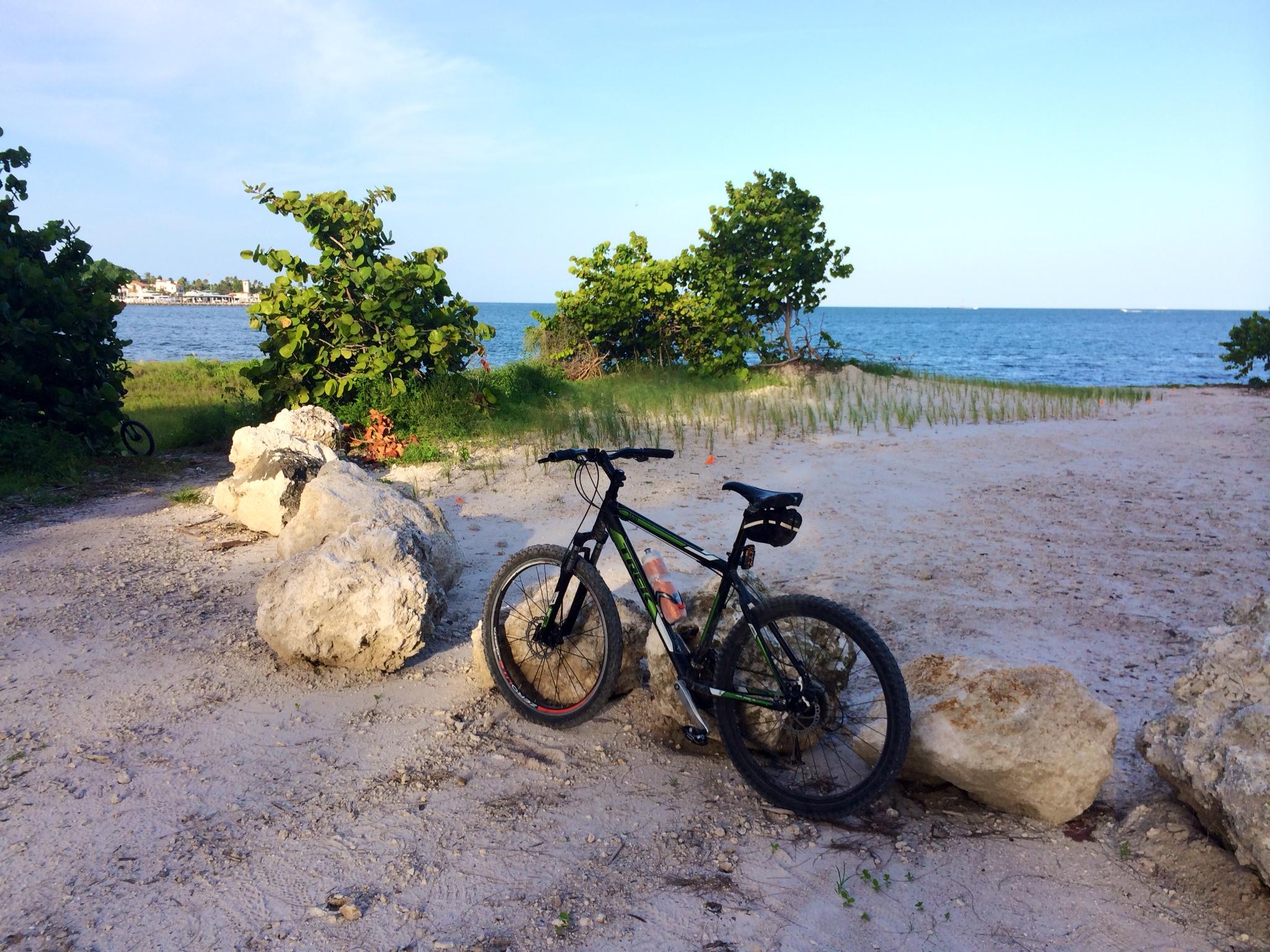 A mountain bike leaning against large rocks on a sandy beach near the ocean, with green plants and shrubs in the foreground and a calm sea in the background under a clear blue sky. Virginia Key North Point mountain bike trail.