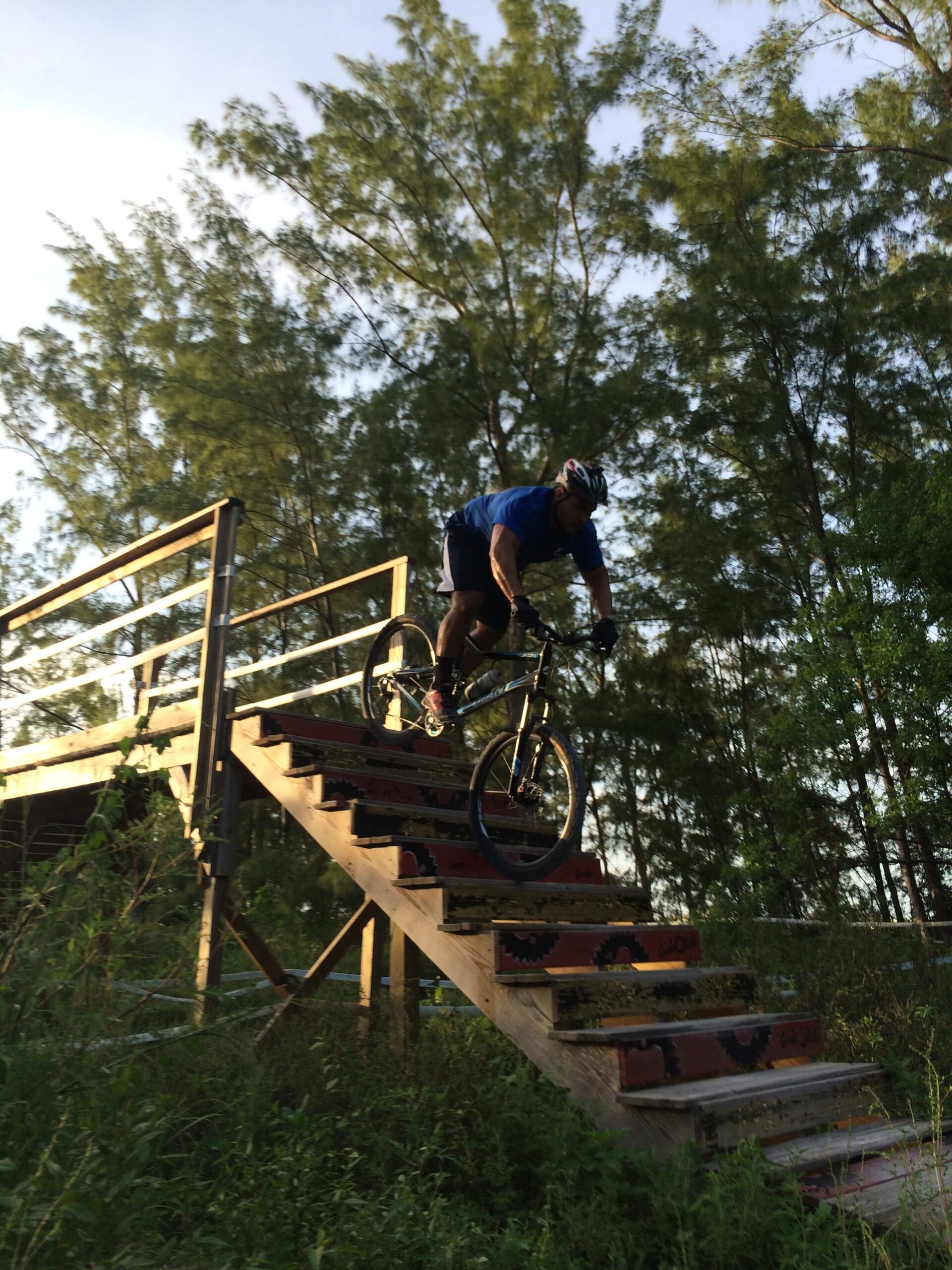 A mountain biker dressed in a blue shirt is skillfully descending a set of wooden stairs, surrounded by lush greenery and tall trees. The setting is illuminated by soft, natural light, indicating either early morning or late afternoon. The biker is focused, with one hand on the handlebars and his body leaning forward as he navigates the stairs. Virginia Key North Point mountain bike trail.