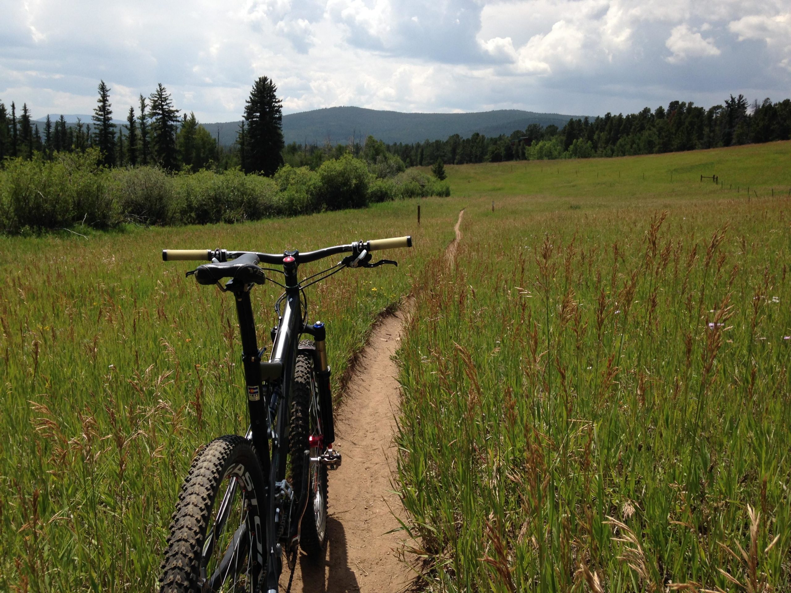 A mountain bike parked on a dirt path winding through a grassy field, with lush green vegetation and trees in the background. The sky is partly cloudy, and distant mountains can be seen in the horizon. Golden Gate Canyon State Park mountain bike trail.