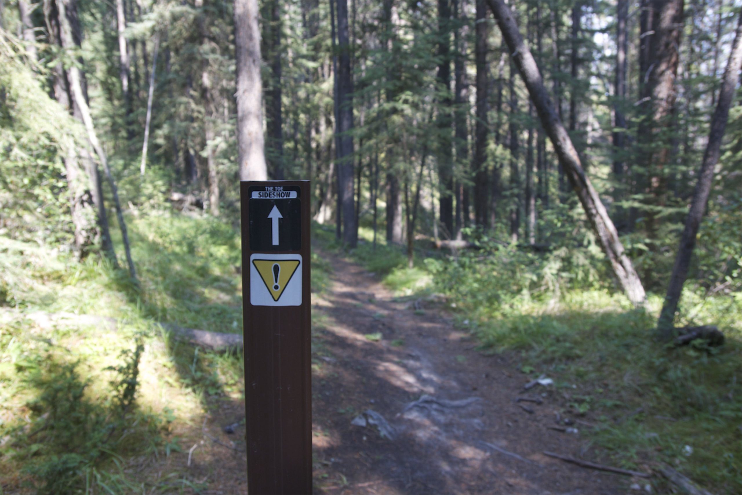 A wooden trail sign in a forest pointing upwards towards "The Toe Sideshow," with a warning symbol below it. The path in the background is surrounded by trees and greenery. Tunnel Mountain Tech Trails mountain bike trail.