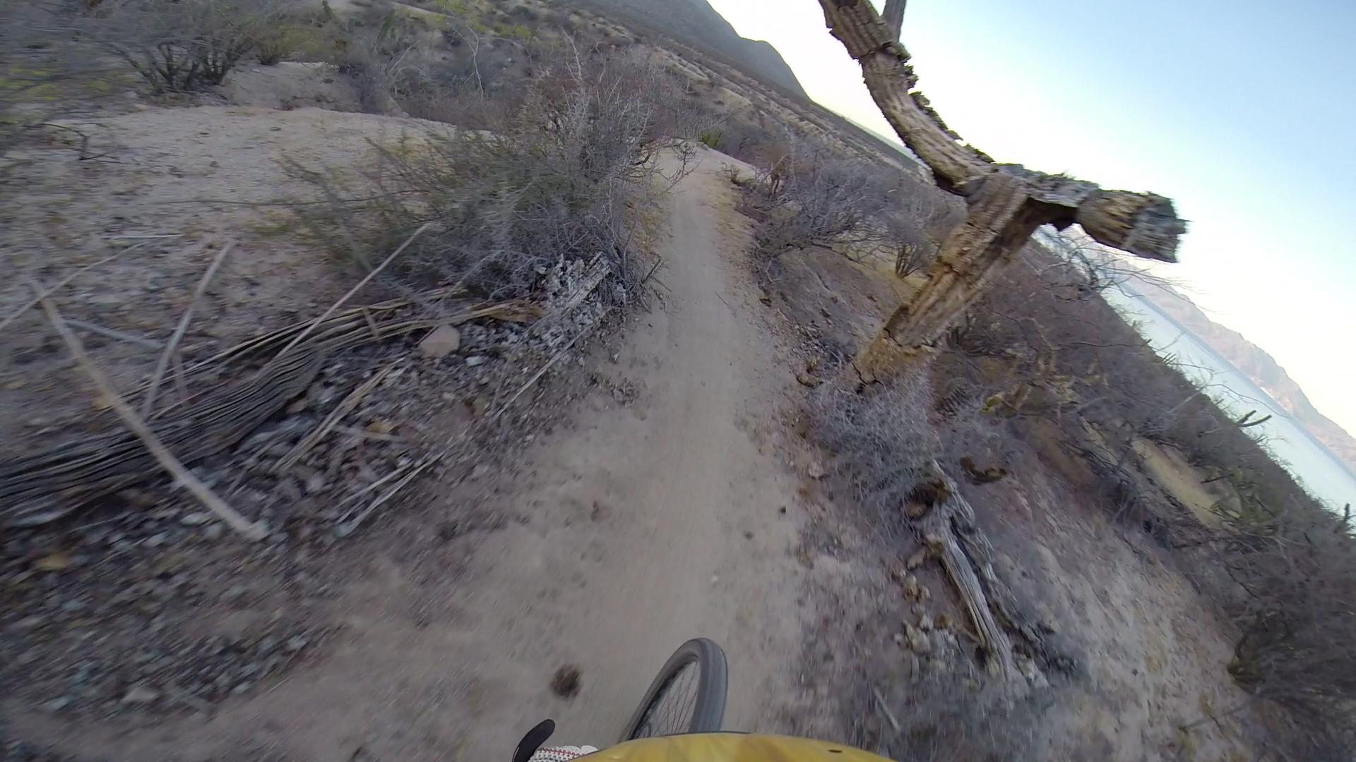 A close-up view of a mountain bike navigating a dirt trail surrounded by sparse vegetation and cacti, with a body of water visible in the background and mountains in the distance. Warren Ave mountain bike trail.