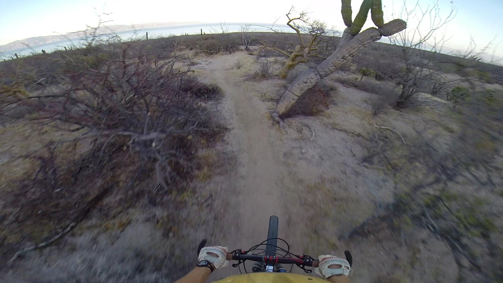 A mountain biker riding down a narrow dirt trail with a view of a desert landscape and a body of water in the background. The scene features sparse vegetation, including cacti and shrubs, under a clear sky. Warren Ave mountain bike trail.