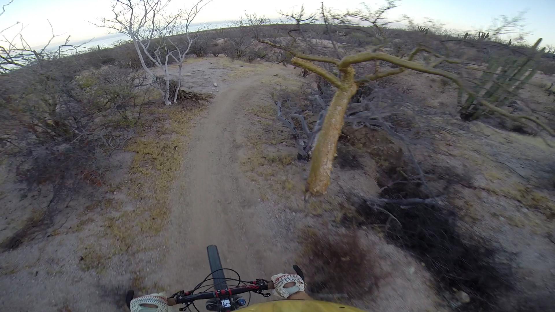 Aerial view of a mountain biker navigating a winding dirt trail surrounded by sparse, dry vegetation and twisted trees in a rugged landscape. Warren Ave mountain bike trail.