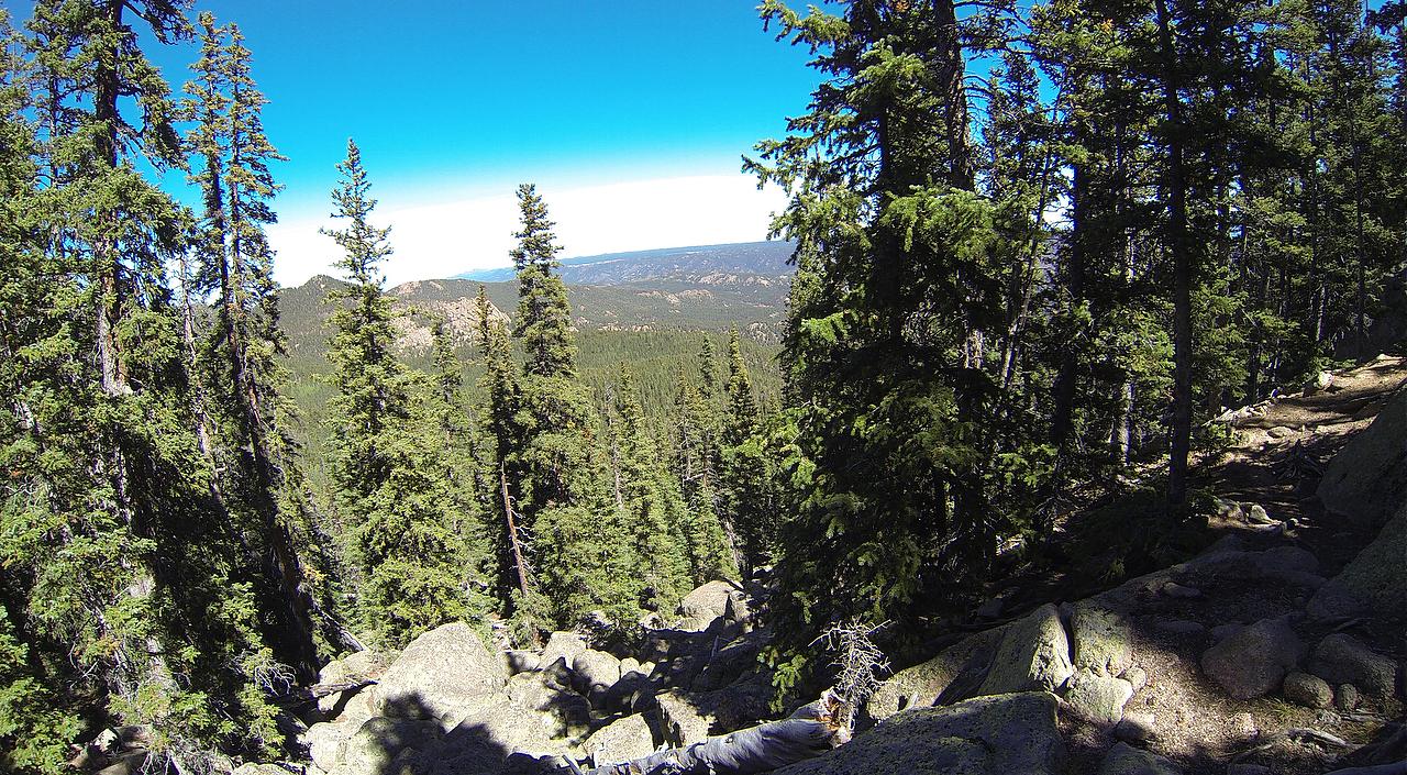 A scenic view of a dense forest with tall pine trees, large boulders, and a clear blue sky in the background. The landscape features rolling hills and distant mountains, creating a serene natural environment. Elk Park Trail mountain bike trail.