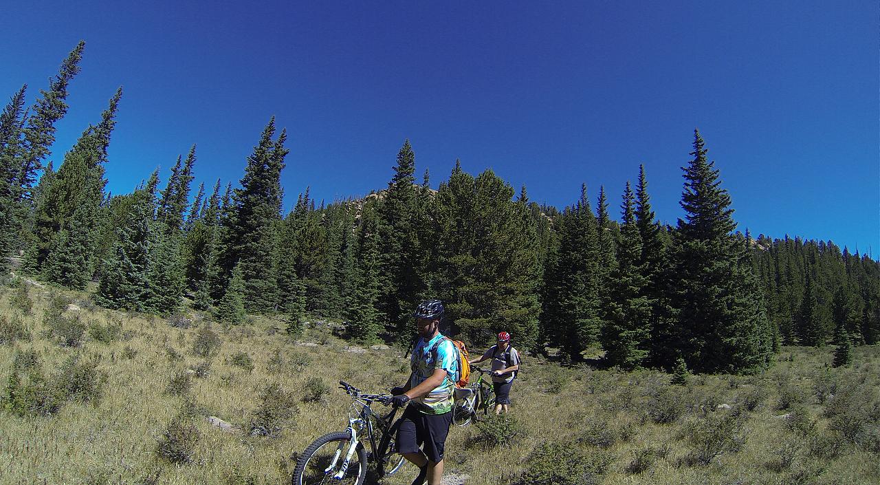 Two mountain bikers pause on a trail surrounded by tall evergreen trees and clear blue skies. One rider, wearing a colorful shirt and a backpack, is standing next to his bike, while the other, in a red helmet, is further down the trail, also with a bike. The landscape features a mix of grassy areas and dense foliage, creating a serene outdoor scene. Elk Park Trail mountain bike trail.