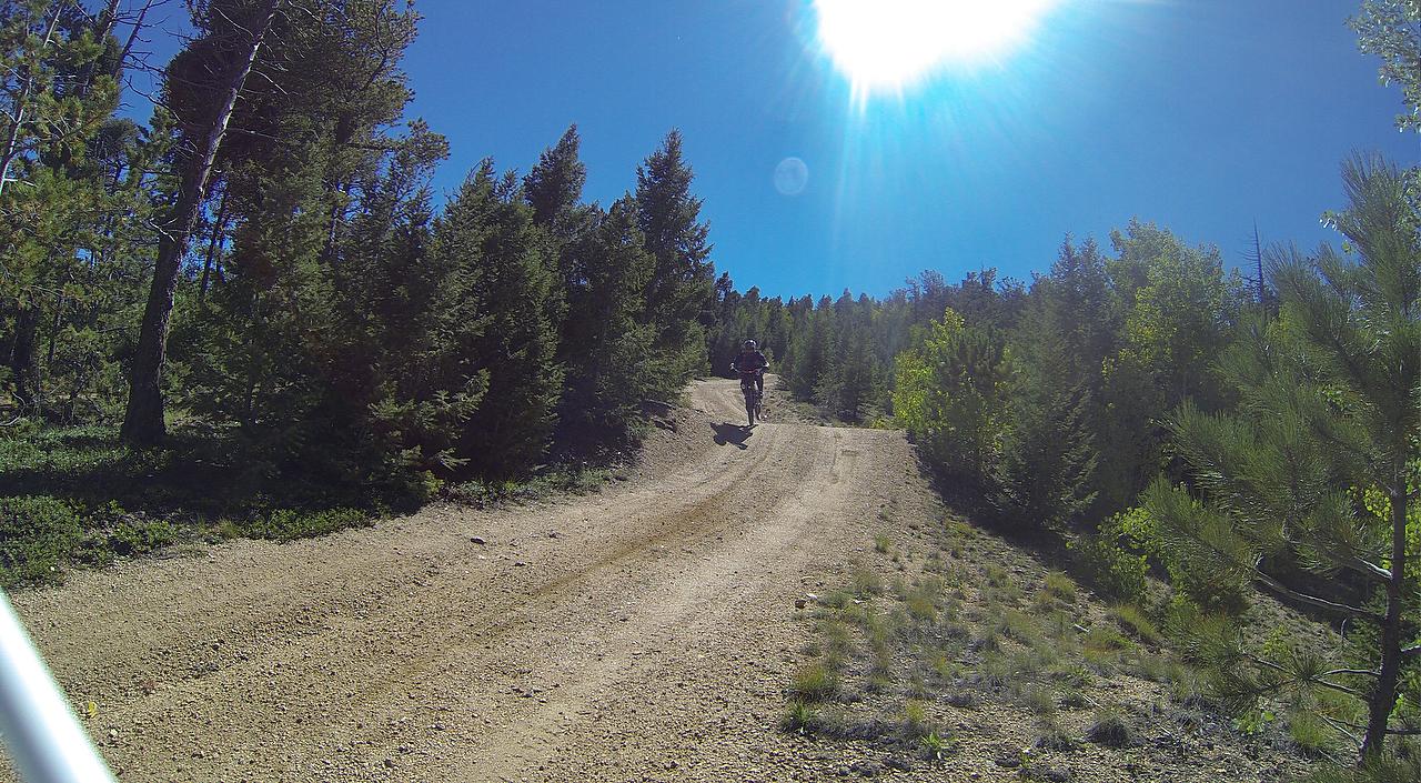 A mountain biker riding up a dirt path surrounded by tall trees on a sunny day, with bright blue skies and the sun shining in the top right corner of the image. Longs Ranch Road mountain bike trail.