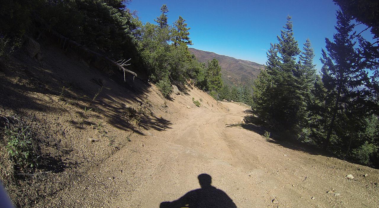 A dirt trail winding through a forested mountainous area, with trees lining both sides under a clear blue sky. The shadow of a person is visible in the foreground, indicating the presence of an individual walking or biking along the path. Longs Ranch Road mountain bike trail.