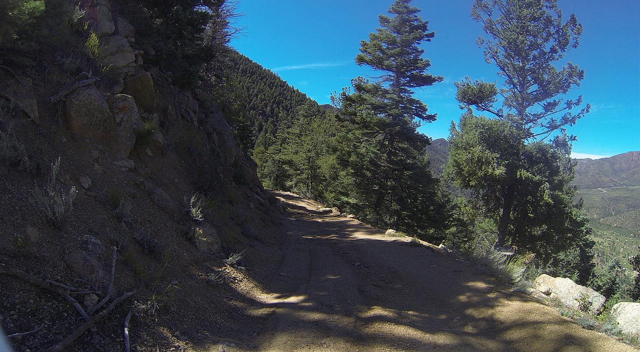 A dirt path winding through a forested area with tall trees on either side, set against a clear blue sky. The path is surrounded by rocky terrain and sparse vegetation, leading into the distance where the landscape gently slopes downwards. Longs Ranch Road mountain bike trail.