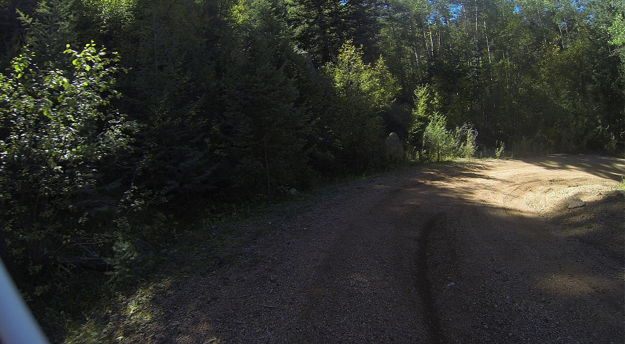 A winding dirt path surrounded by dense green foliage and trees, with sunlight filtering through the branches, creating dappled shadows on the ground. Longs Ranch Road mountain bike trail.