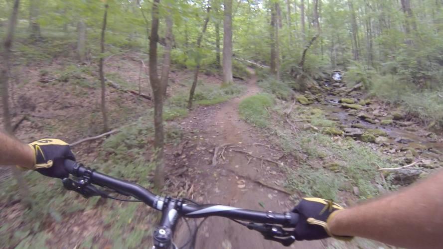 Mountain biking trail with a view from the handlebars, surrounded by lush green trees and a small stream to the side. The path is dirt with some rocks and roots visible, indicating a natural, rugged environment. Gunpowder Falls State Park mountain bike trail.