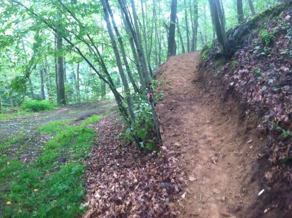 A wooded area featuring a dirt path that splits into two directions. The path is surrounded by trees with green leaves, and there is a slight incline on the right side. Fallen leaves and patches of grass are visible on the forest floor. A pink marker can be seen indicating the trail. Hopewell Park mountain bike trail.