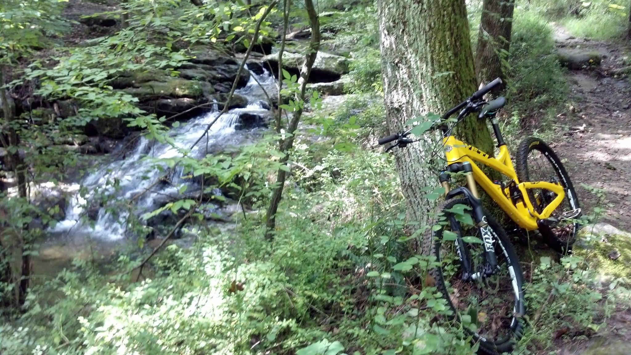 A vibrant yellow mountain bike is leaning against a tree near a small, flowing stream surrounded by lush greenery. The scene captures the tranquility of a forested area with sunlight filtering through the leaves. Gunpowder Falls State Park mountain bike trail.